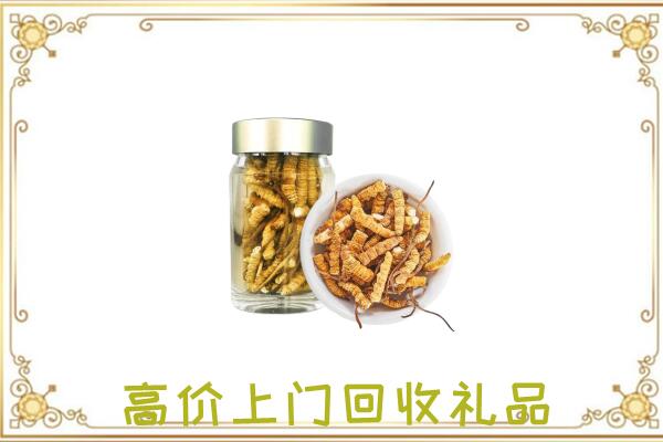 思茅市周边回收虫草